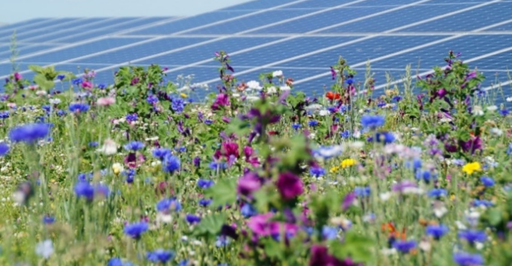 zon op landbouwgrond