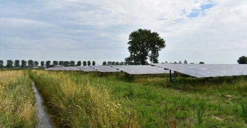 Zonnepark Ficarystraat, Ewijk